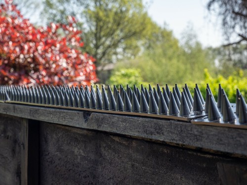 Zaun wand spikes garten - zaun,
