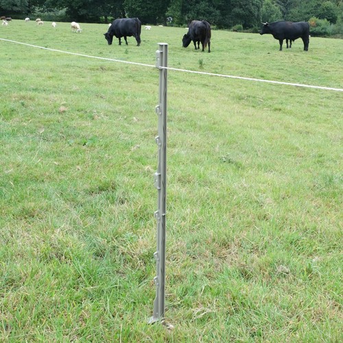 3ft elektrozaun poly pfosten - 3ft,