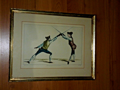 Gwyn delin fencing framed - fencing,